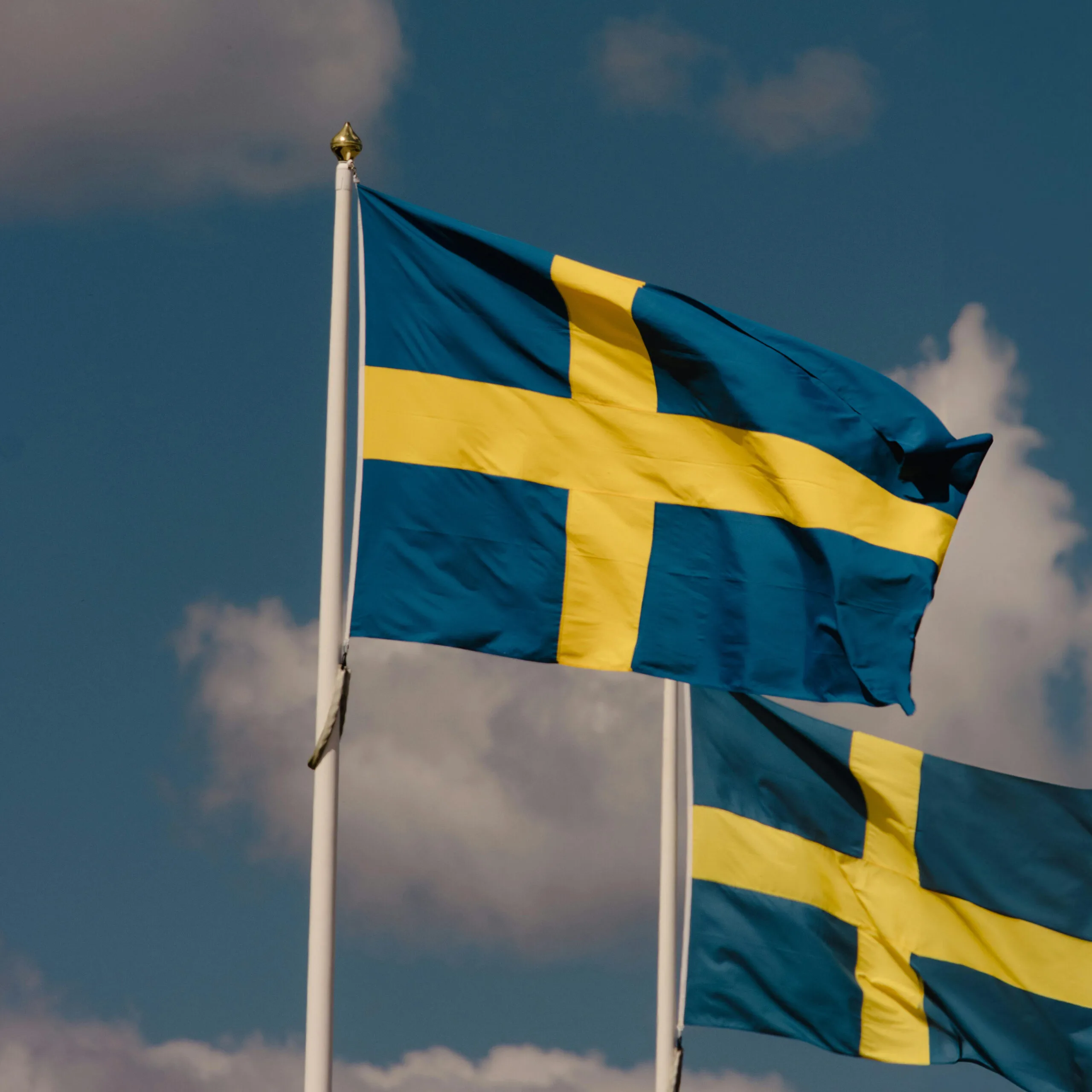 Best Swedish OnlyFans Creators You Shouldnt Miss